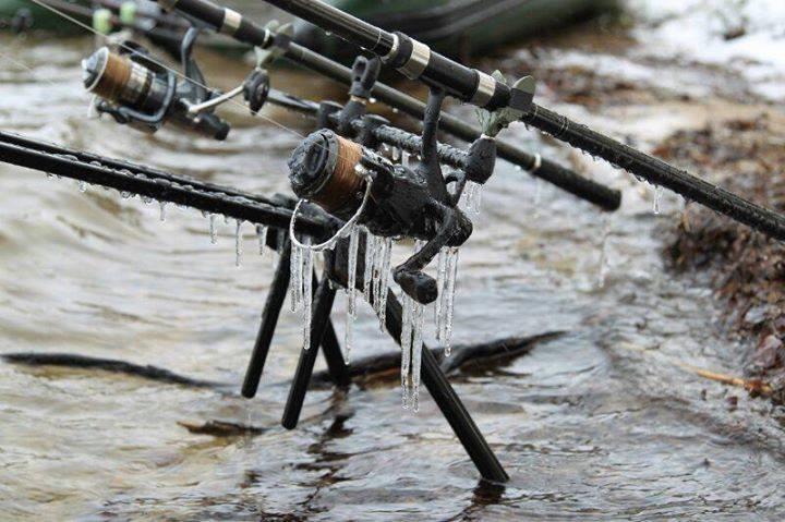 diverse adunate - 14646407480227885467522129991215n.jpg